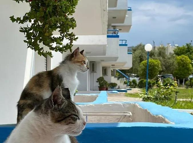 Kosinmyheart 11 & Studio10 Apartmanhotel